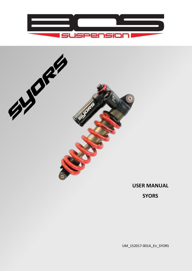 BCS SYORS user manual