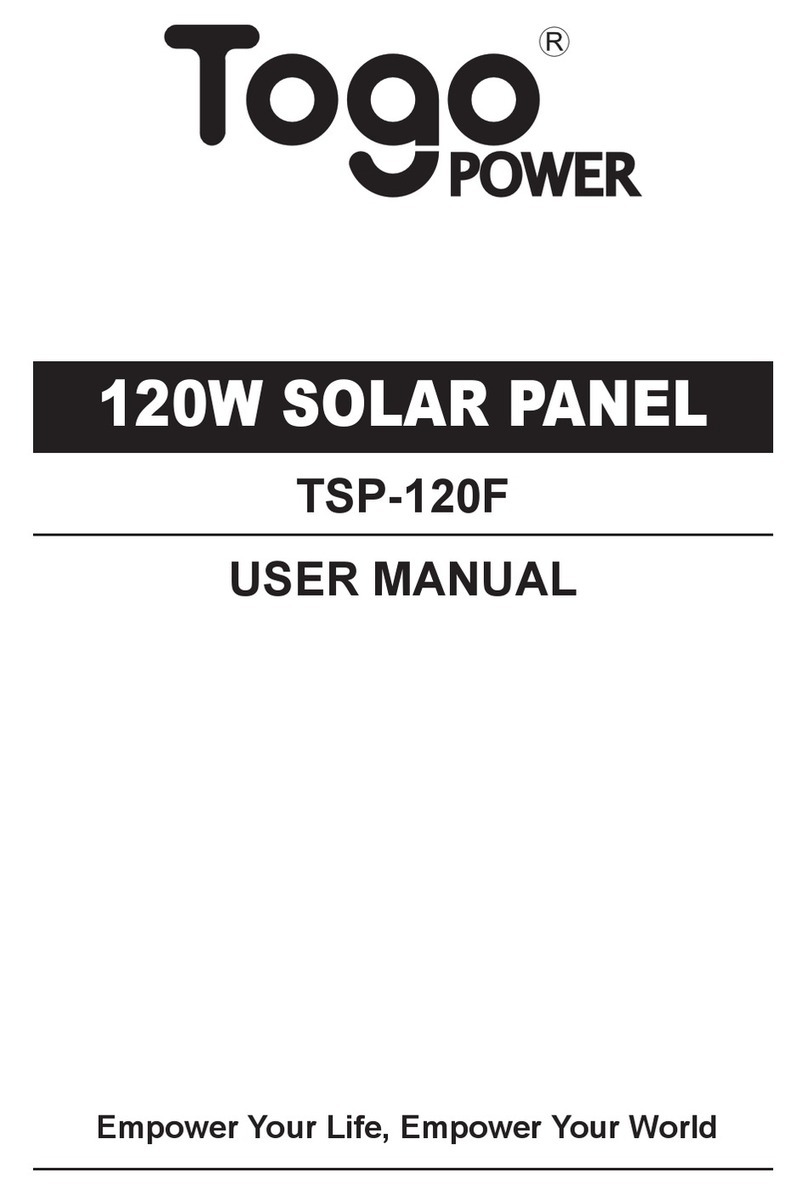 Togo POWER TSP-120F User manual