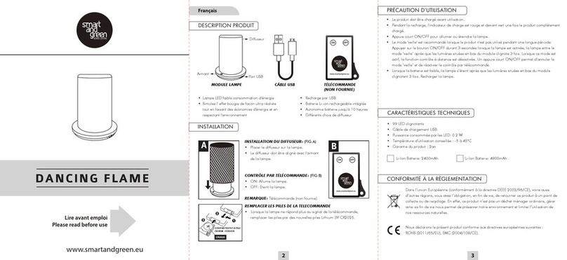 smart & green DANCING FLAME manual