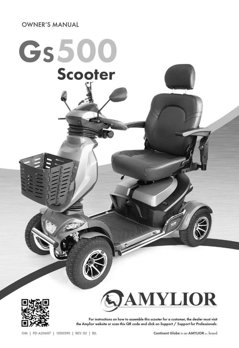 Amylior Gs 500 User manual Amylior Gs 500 User manual