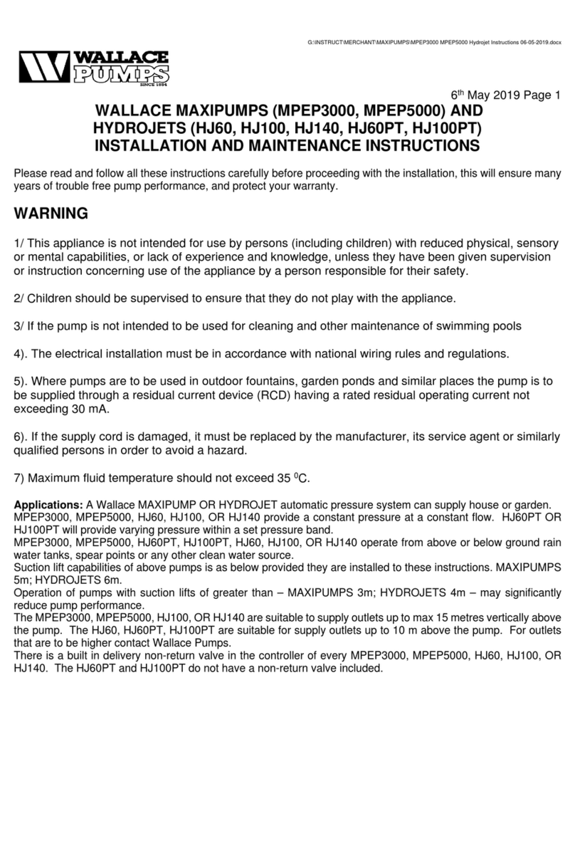 Wallace Pumps MAXIPUMP MPEP3000 Installation and maintenance instructions Wallace Pumps MAXIPUMP MPEP3000 Installation and maintenance instructions