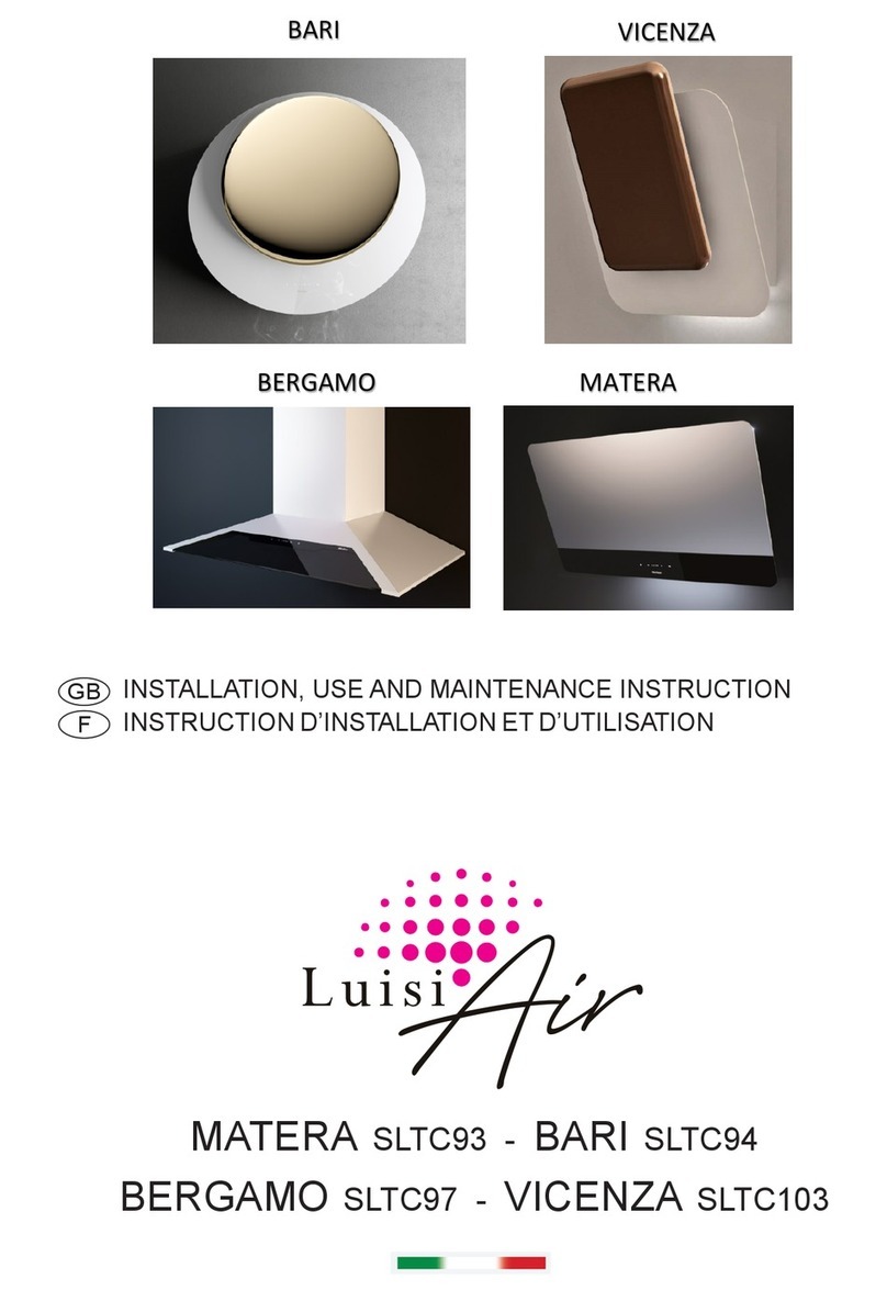 Luisi Air BARI Installation, Use and Maintenance Instruction