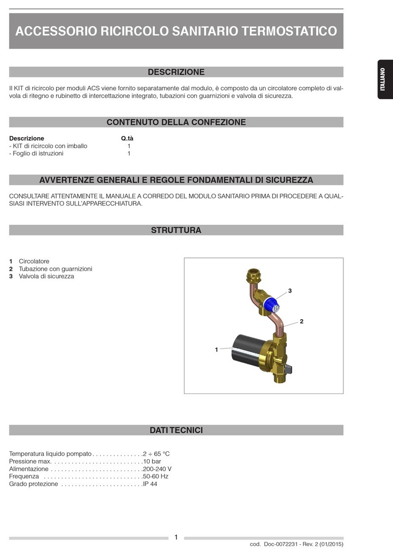 Riello 20083502 User manual