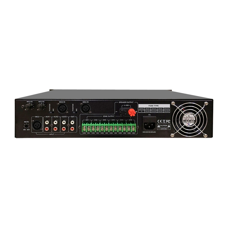 DSPPA MP210P User manual