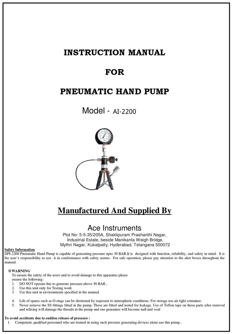 ACE INSTRUMENTS DPI-2200 instruction manual
