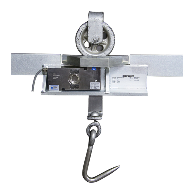 Rice Lake MS200 installation manual