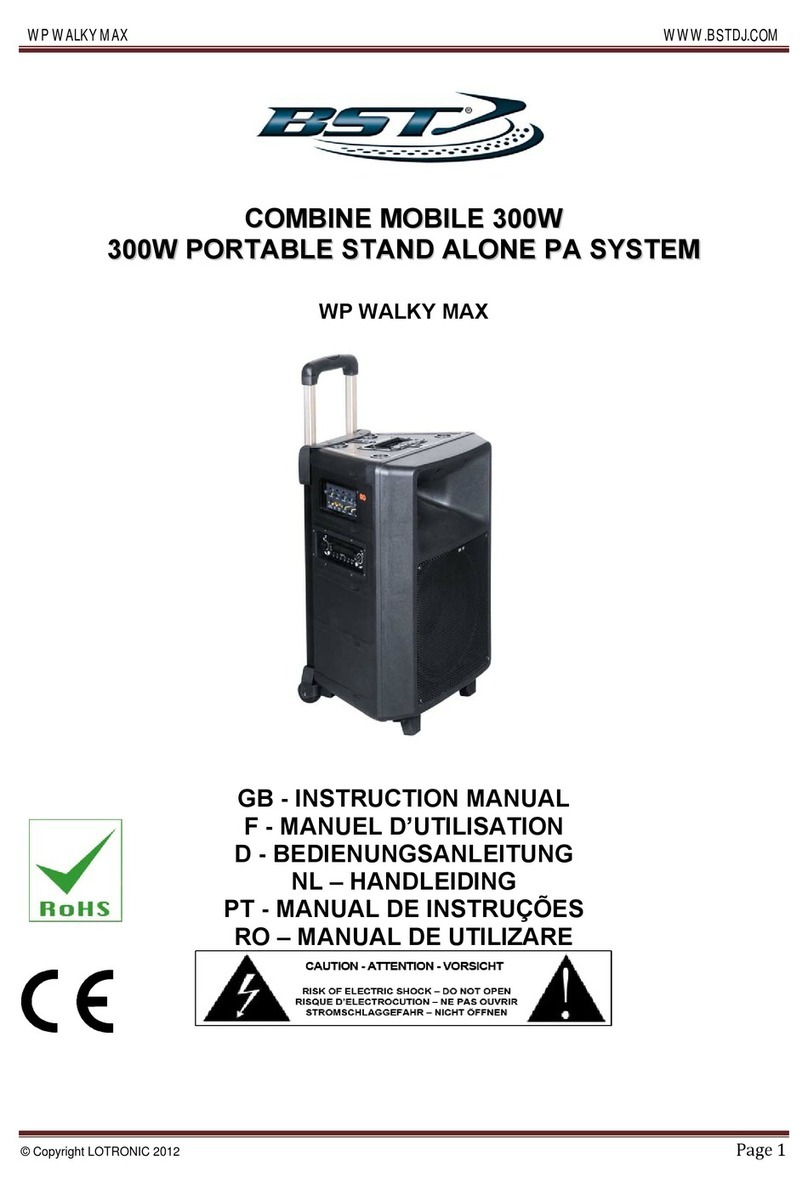 BST WP WALKY MAX User manual