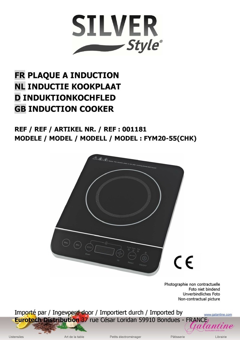 Silver Style FYM20-55(CHK) instruction manual