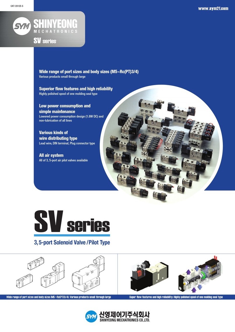 Sym SV Series manual