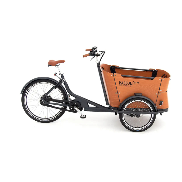 Babboe Curve Mountain user manual