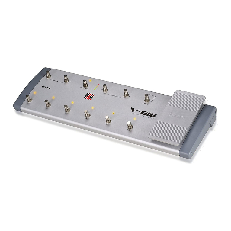 ICON V-GIG user manual
