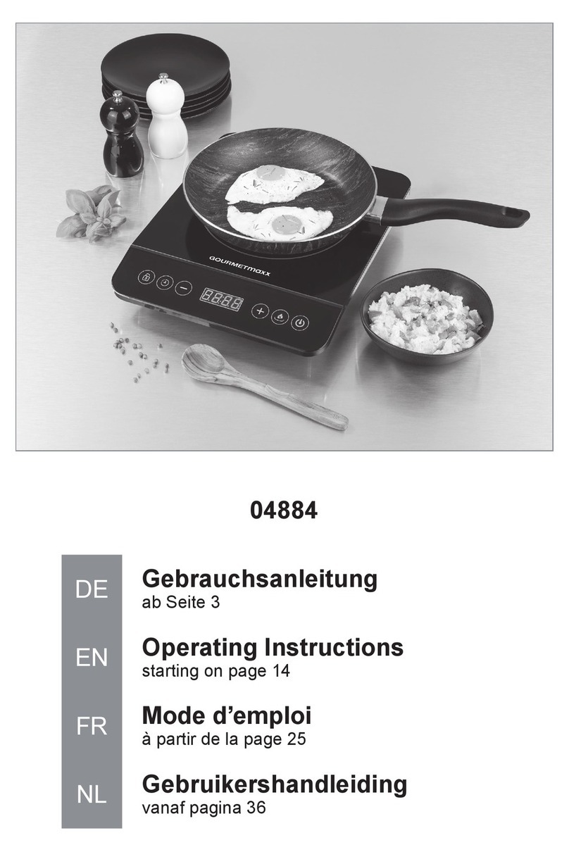 gourmetmaxx FS-IC313 User manual