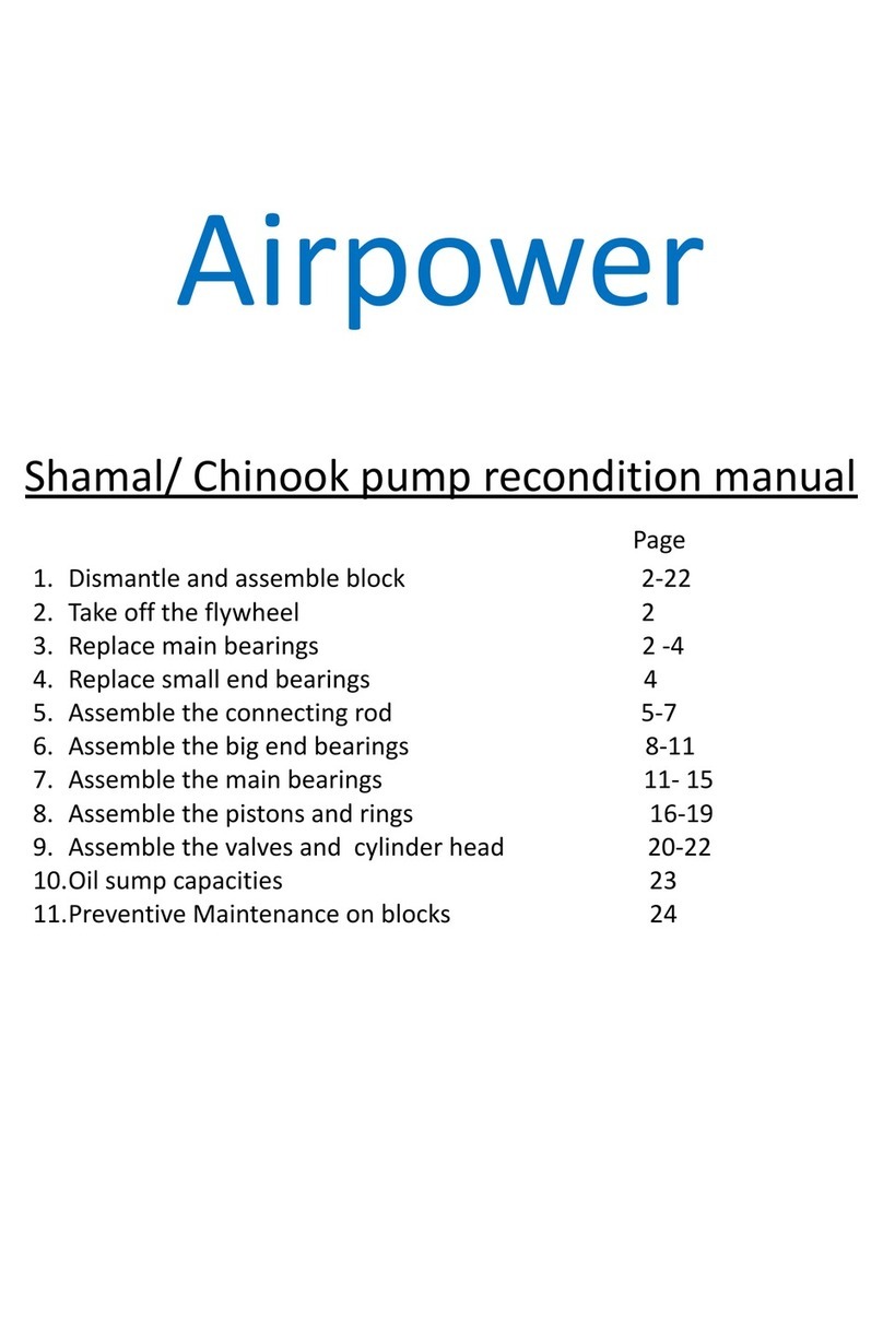 AirPower Shamal K8 RECONDITIONING MANUAL