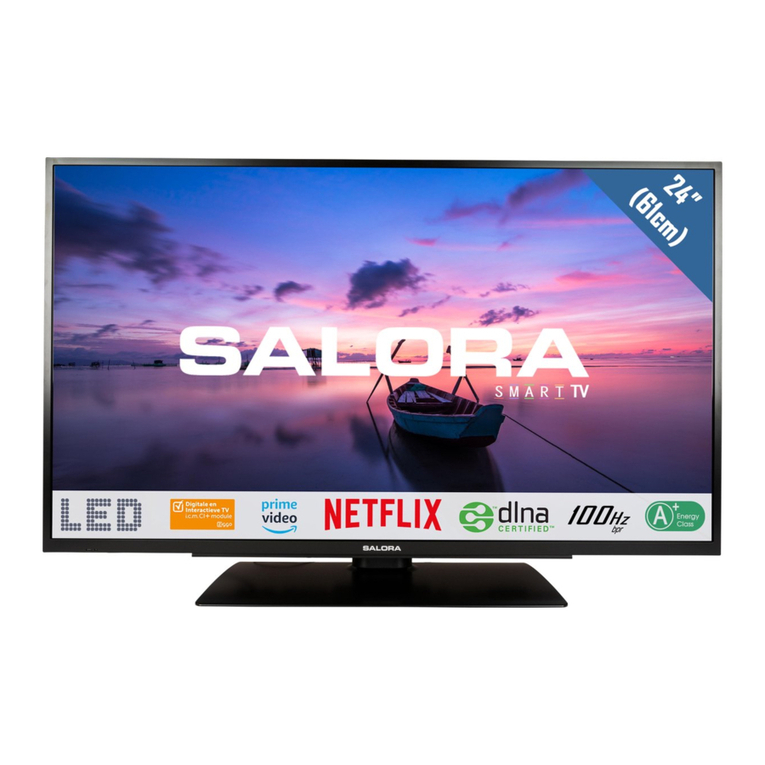 Salora 24HSB6502 User manual