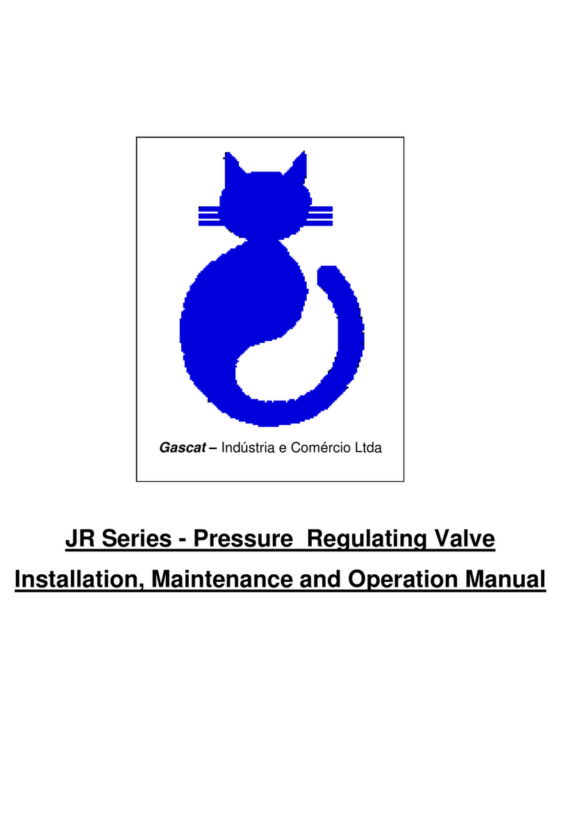 Gascat JR Series Installation, maintenance and operation manual Gascat JR Series Installation, maintenance and operation manual