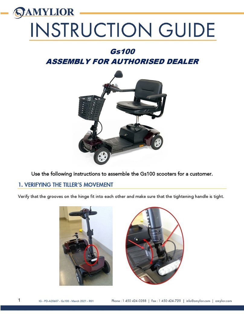 Amylior Gs 100 Instruction guide