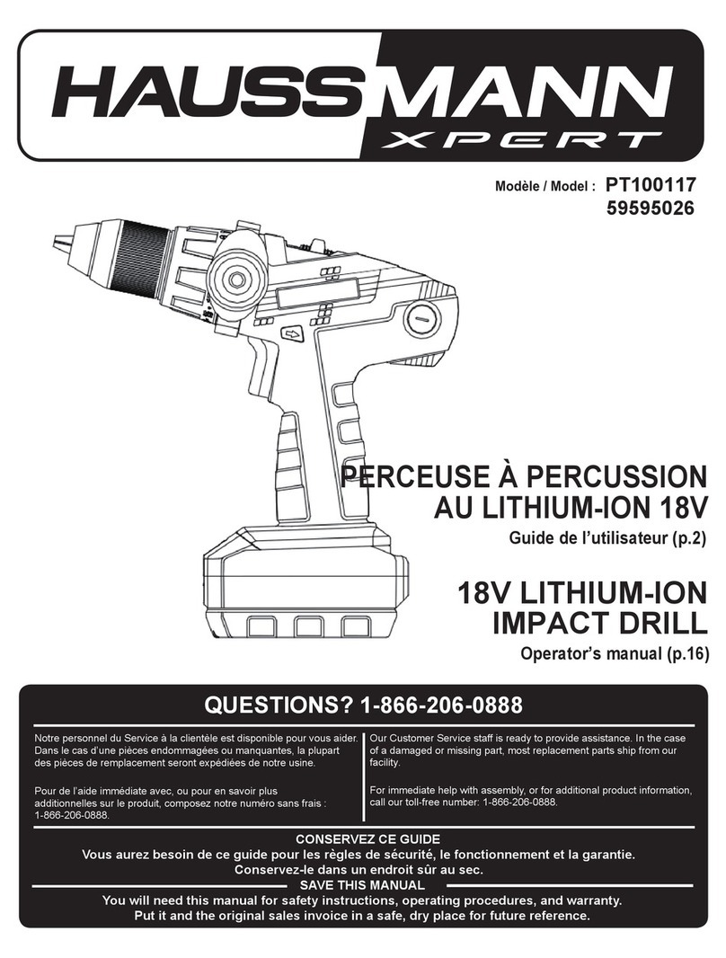 Hausmann PT100117 manual