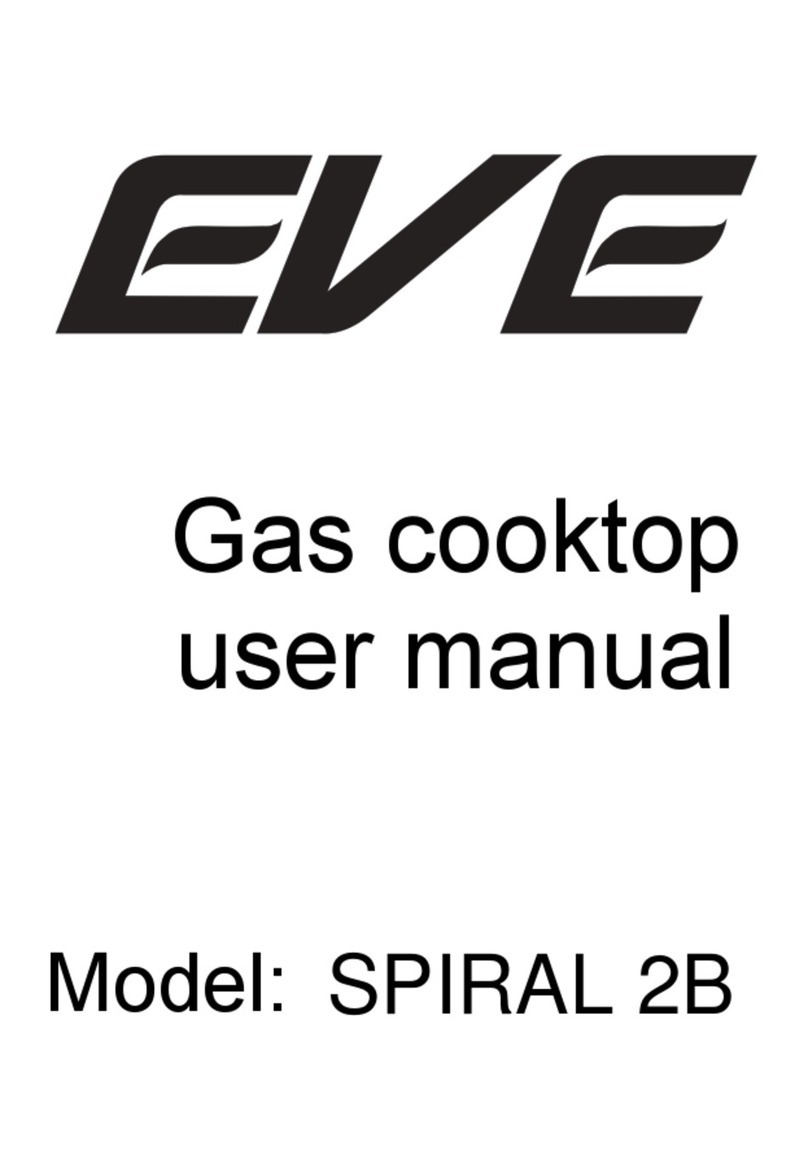 EVE SPIRAL 2B user manual
