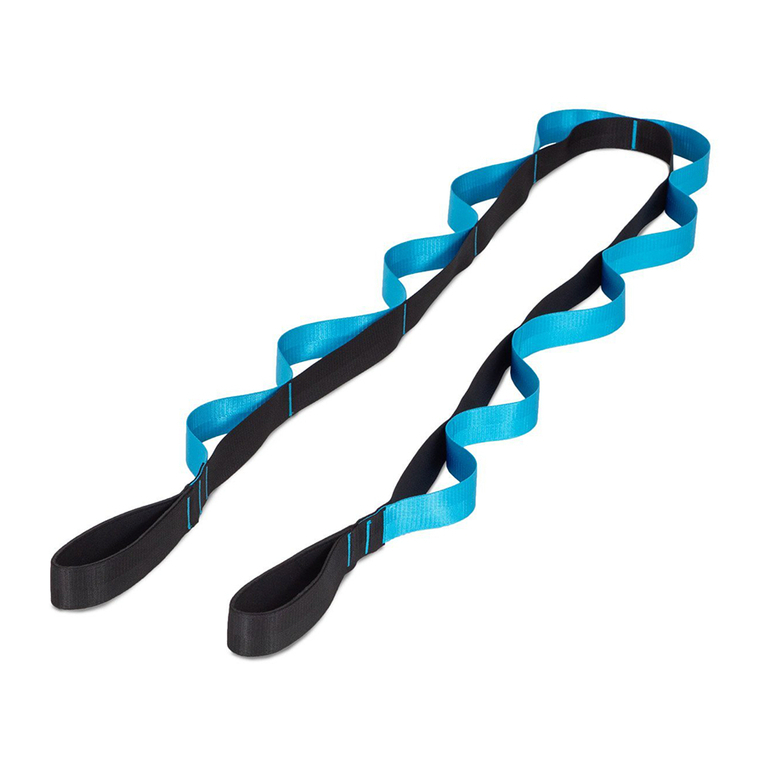 PROSOURCEFIT Multi-Loop Stretching Strap User manual PROSOURCEFIT Multi-Loop Stretching Strap User manual