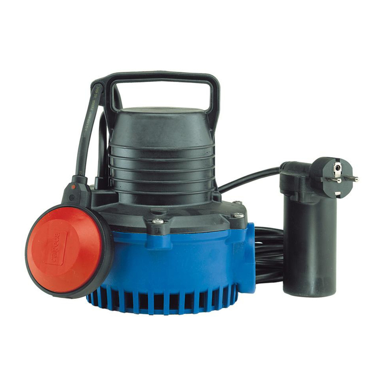Calpeda GM 10 User manual