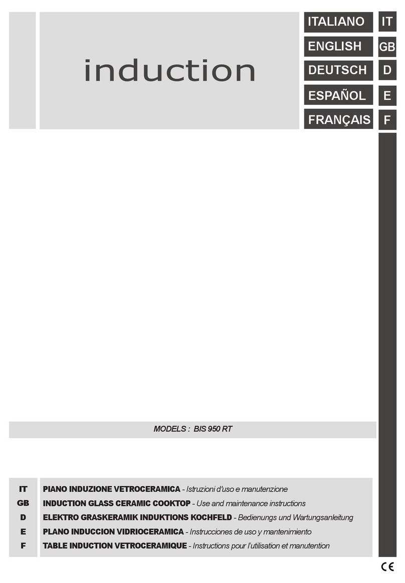 Smalvic BIS 950 RT Use and maintenance instructions