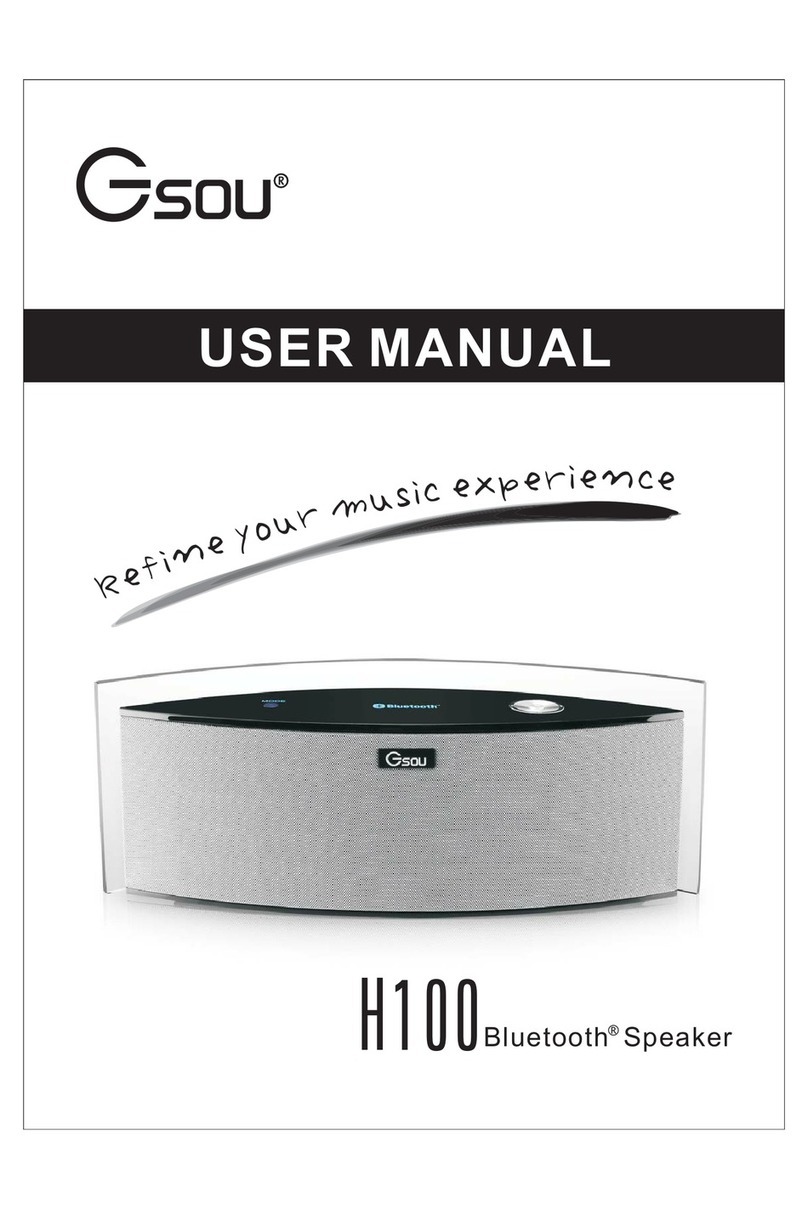 Gsou H100 user manual