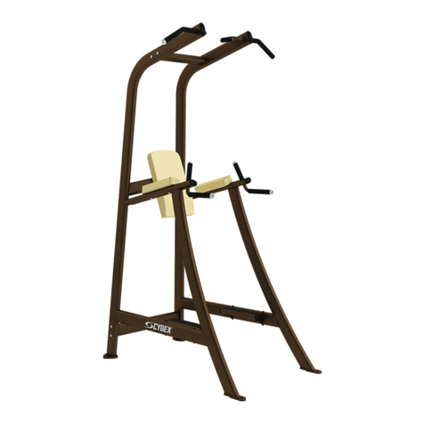 CYBEX Free Weight Dip/Chin/Leg Raise User manual