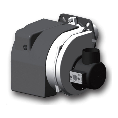 Ferroli COMPACT ECO 3 Manual