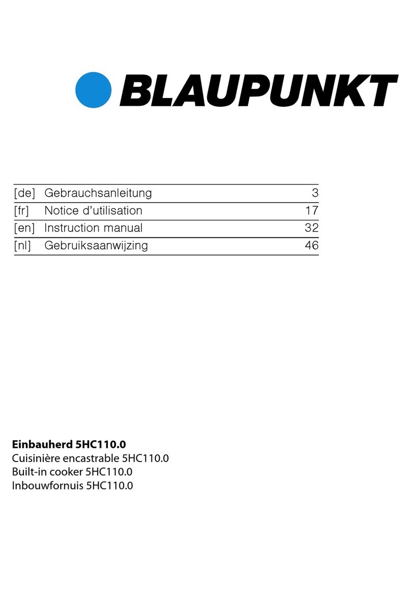Blaupunkt 5HC110.0 User manual