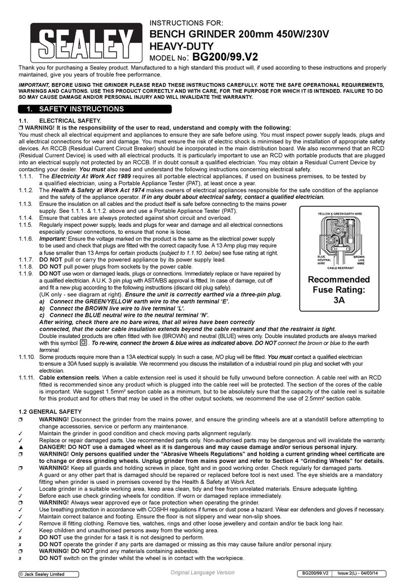 Sealey BG200/99.V2 instructions