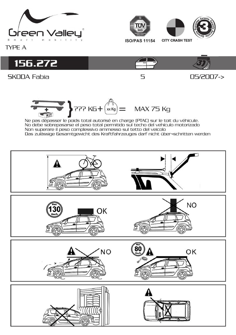 GreenValley 156.272 manual