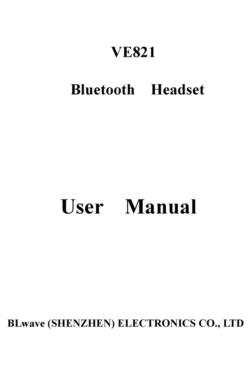 BLwave VE821 user manual