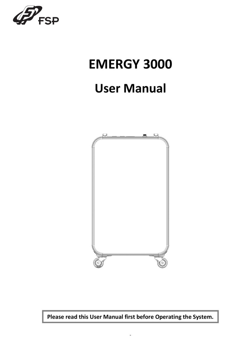 FSP Technology EMERGY 3000 User manual