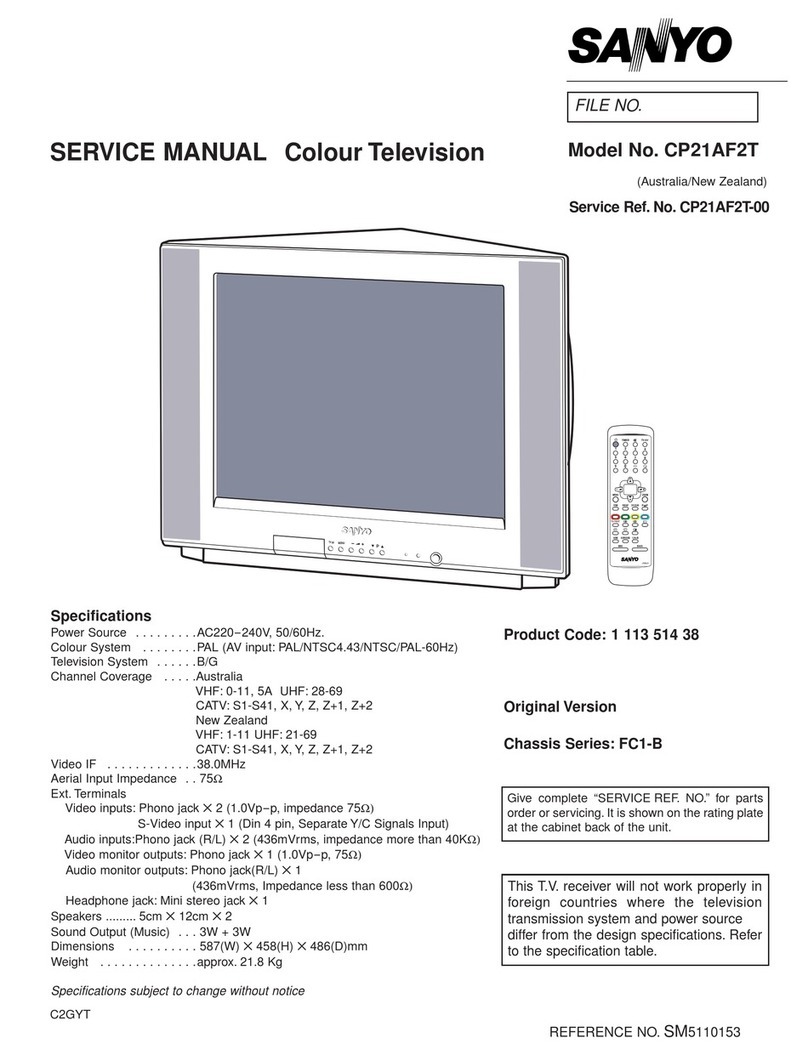 Sanyo CP21AF2T User manual