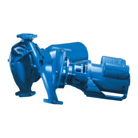 Pentair AURORA 1070 Series INSTRUCTION, INSTALLATION, MAINTENANCE AND REPAIR MANUAL