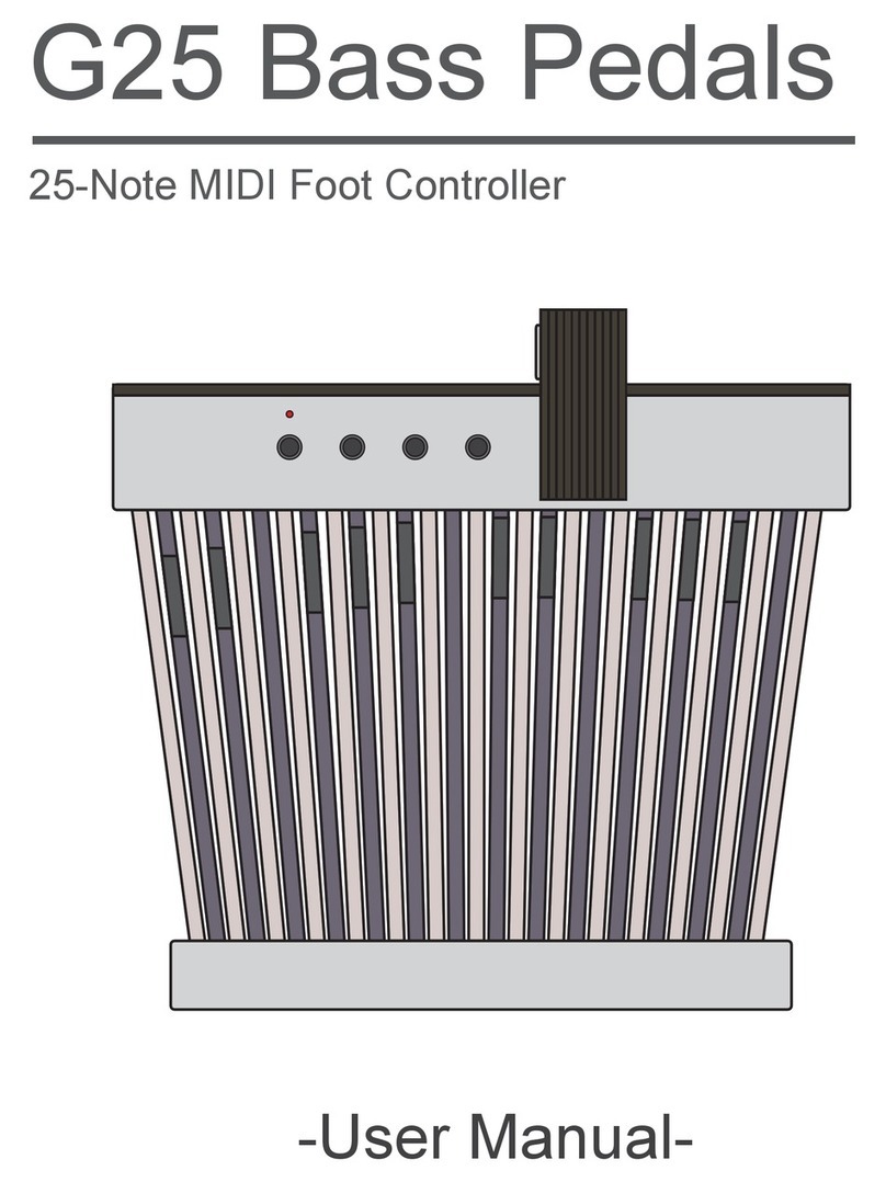 Pro-MIDI G25 user manual
