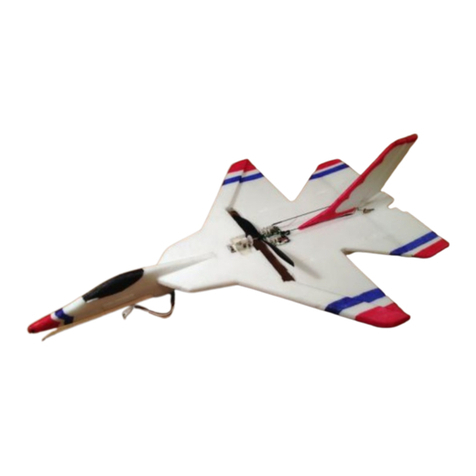 Sawn Craft Micro F-16 Assembly and setup manual Sawn Craft Micro F-16 Assembly and setup manual