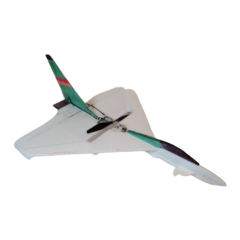 Sawn Craft Micro Eurofighter User guide