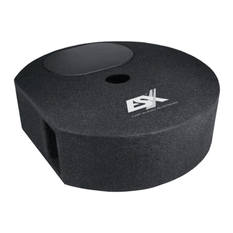 ESX DBX300Q User manual