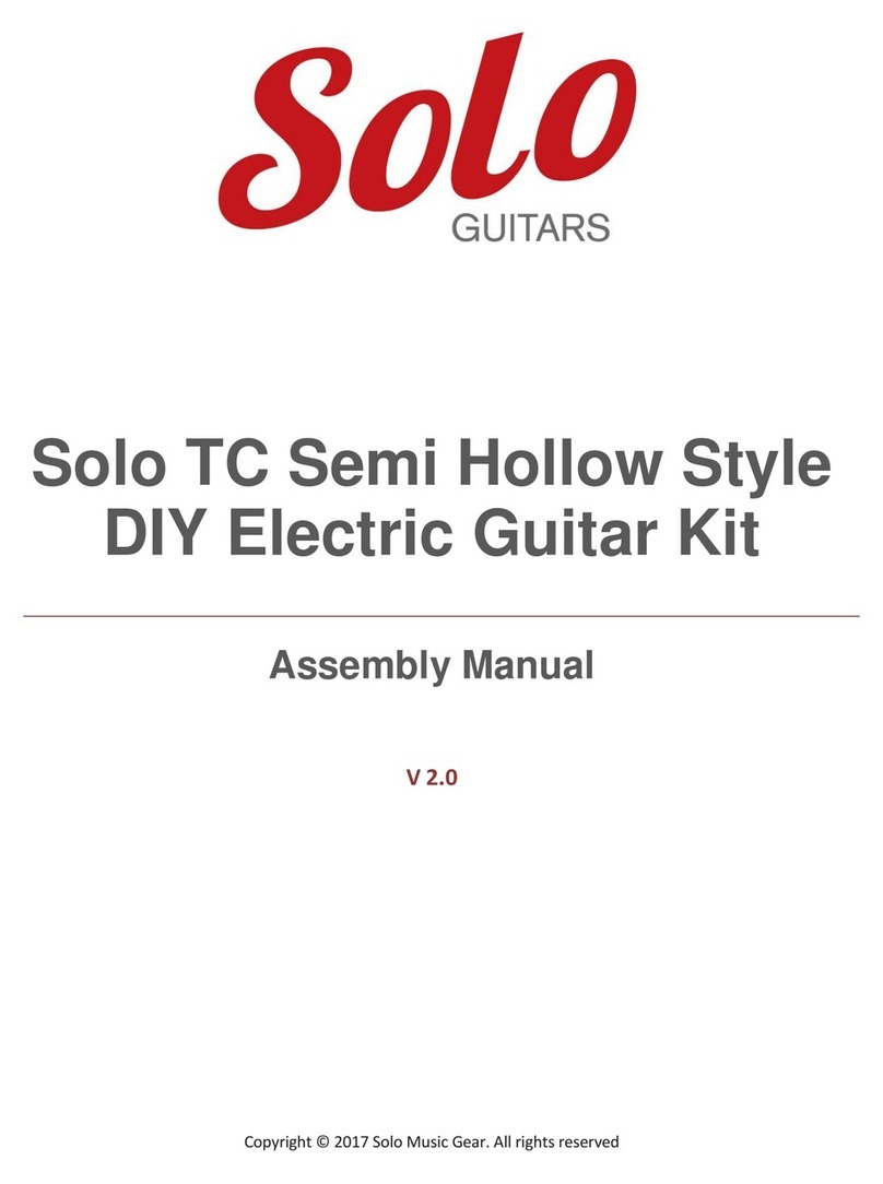Solo TC Semi Hollow Style User manual