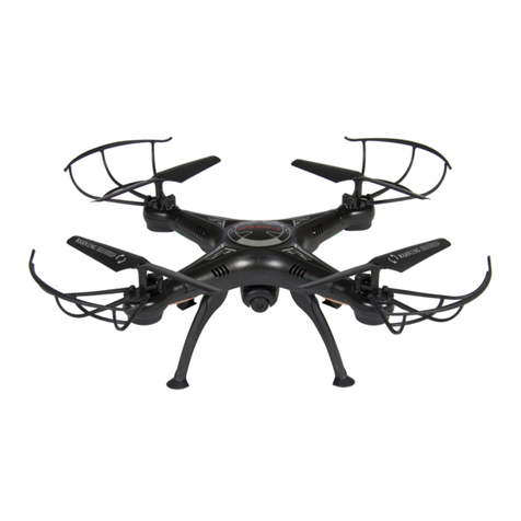 BCP SKY2913 User manual