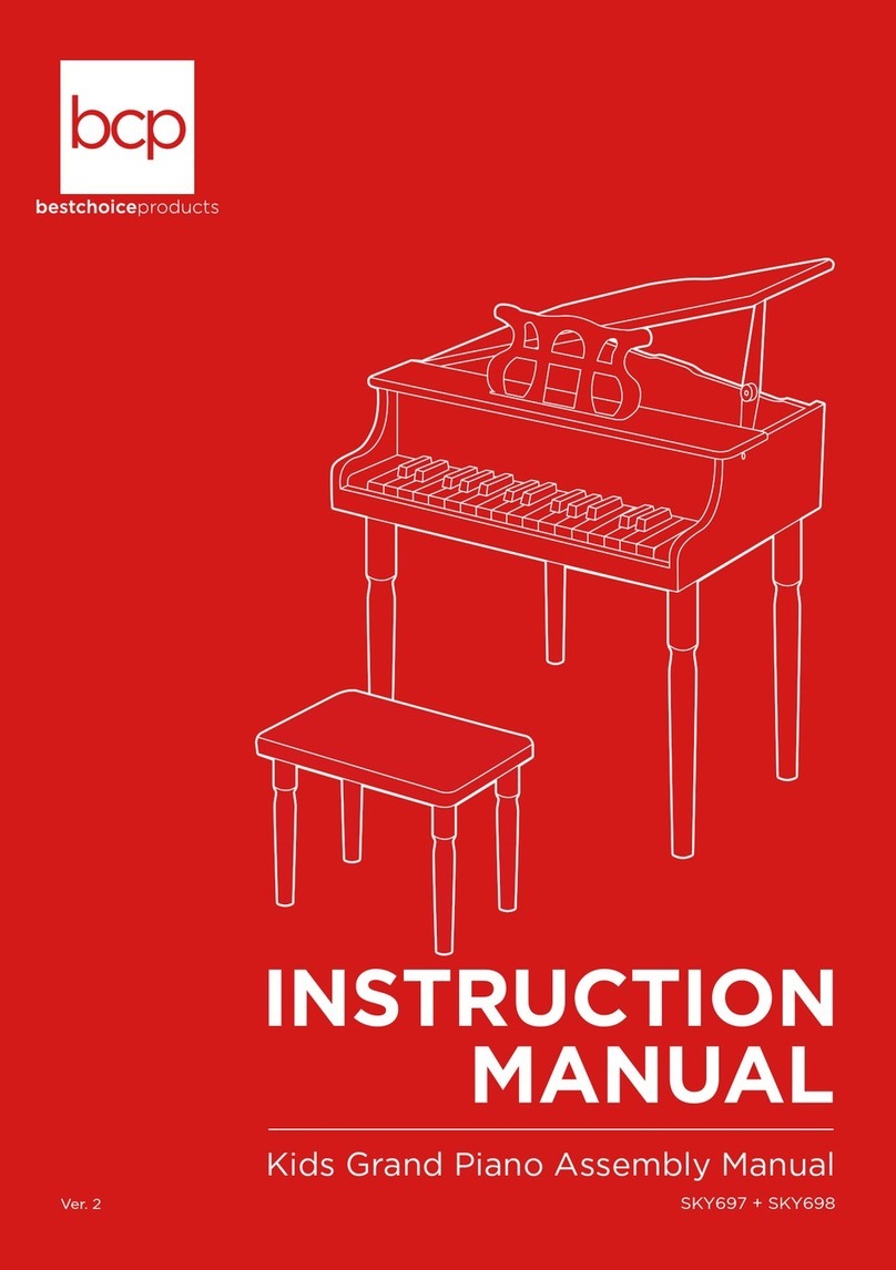 BCP SKY697 User manual