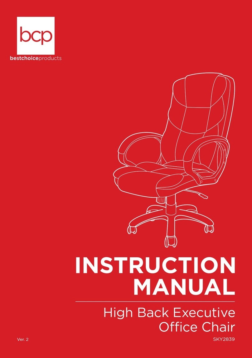 BCP SKY2839 User manual