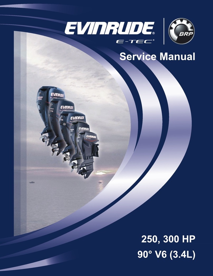 BRP E250DHLSCS User manual