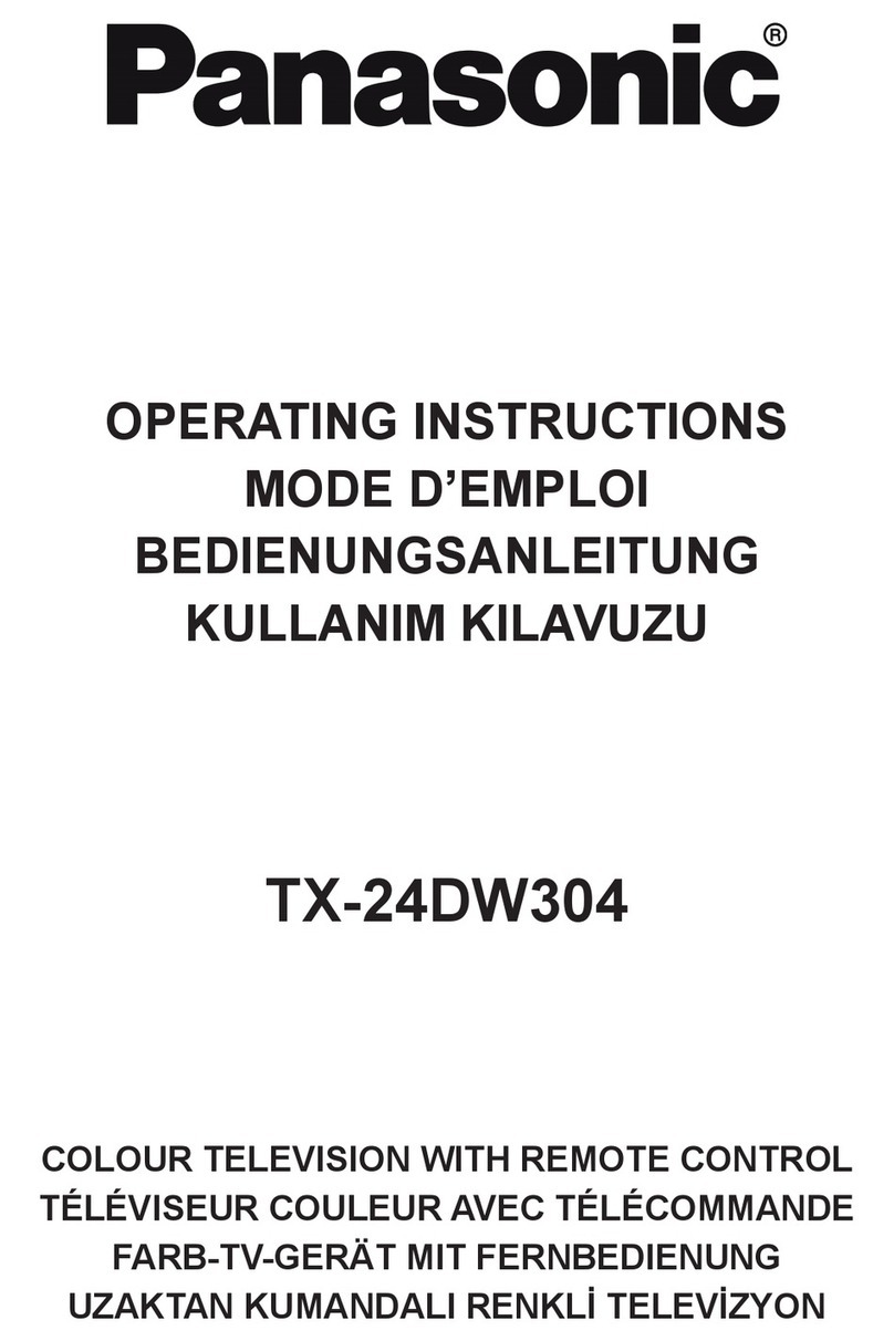 Panasonic TX-24DW304 operating instructions