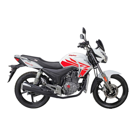 Raybar Striker 150 User manual