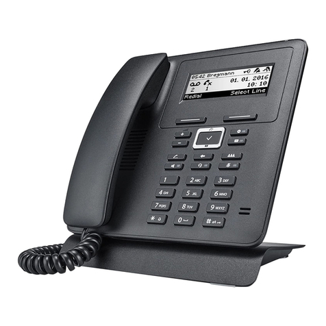 bintec elmeg elmeg IP620 User manual