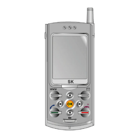 SK SK-6100 User manual