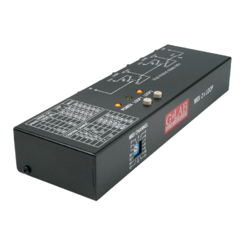 Glab Midi 2 x Loop User manual