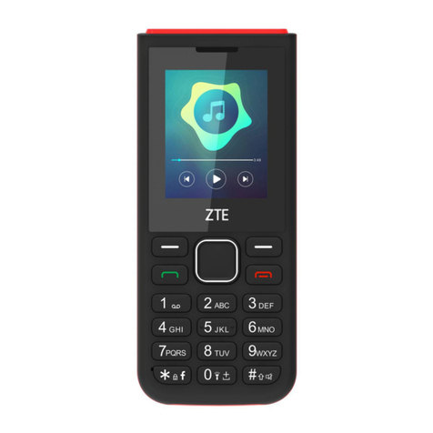 Zte R570 User manual
